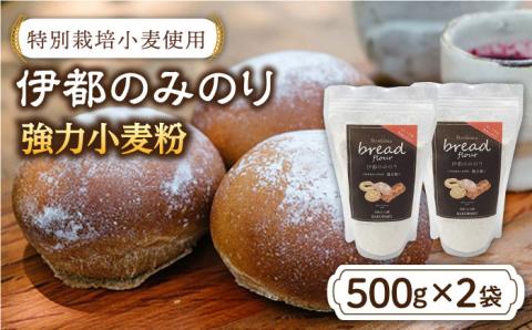 特別栽培小麦使用 伊都のみのり 小麦 強力粉 パン 糸島 500g×2袋【天然パン工房楽楽】 【いとしまごころ】 [AVC002]