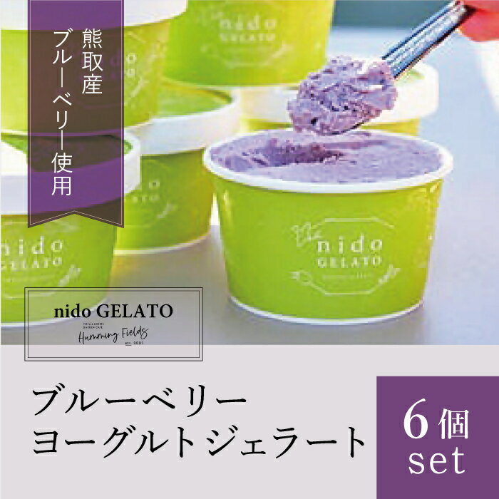 【ふるさと納税】ブルーベリーヨーグルトジェラート「Nido GELATO」(6個)【Humming Fields】（025_5002）