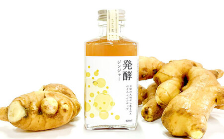 日田杉香るクラフトコーラ　「杉コーラ」　/ピリッと生姜とシナモンの甘い香り　「発酵ジンジャー」　 飲み比べセット（杉コーラ、発酵ジンジャー4本セット/各2本） スパイス 炭酸 シロップ[ARDA014