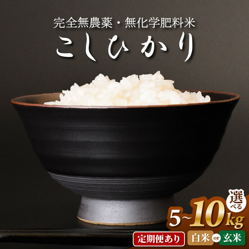【ふるさと納税】〈令和7年産〉無農薬米5kg・10kg・定期便あり　玄米/白米選択可【こしひかり】/ 送料無料 福井県 越前市 米 コシヒカリ 無農薬 2025年度産（18209）