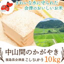 【ふるさと納税】【令和6年産・精米】柳津町黒沢地区産こしひかり「中山間のかがやき」10kg 〈10月末より順次発送〉【1535164】