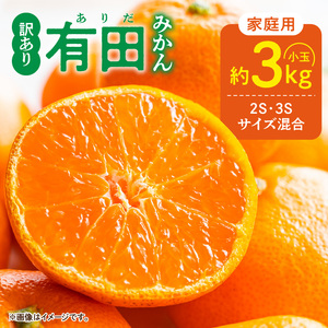 【2026年先行予約】家庭用 ご有田みかん 和歌山 小玉(2S,3Sサイズ混合) 約3kg_DZ6033