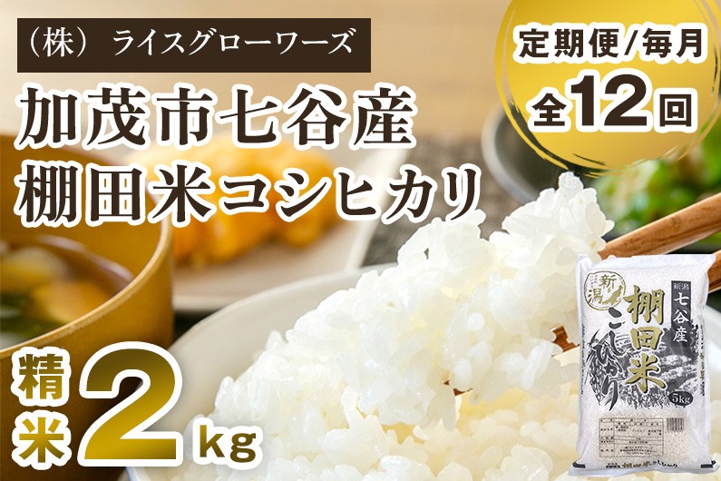 
                  【令和7年産】【定期便12ヶ月毎月お届け】新潟県加茂市 七谷産 棚田米コシヒカリ 精米2kg《順次出荷》 白米 （株）ライスグローワーズ
                