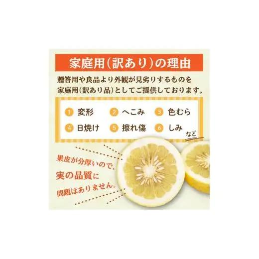 訳あり 文旦 5kg 先行予約