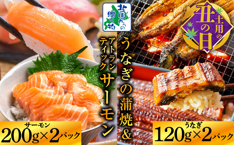 【7/19土用の丑の日】五郎藤 国産 関西風 地焼き有頭旨鰻 120g×2尾＆アトランティックサーモン 200g×2パック【食べ比べ】 020C405c
