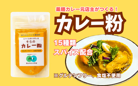 スパイス ちょい足し 米粉 調味料 セット 4種 【 カレー 】