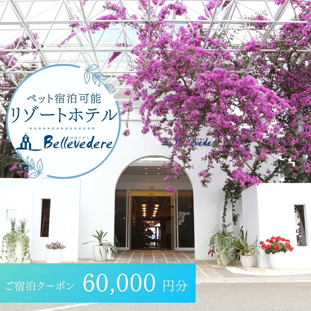 【ふるさと納税】 ホテルベルヴェデーレ 宿泊クーポン 60,000円分 宿泊チケット リゾートホテル 和歌山 紀南 南紀 観光 / 宿泊券 宿泊チケット 一泊二日 和歌山 紀南 南紀 観光【iki109】