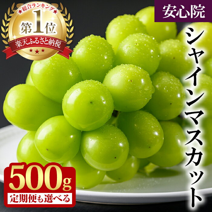 【ふるさと納税】 シャインマスカット 【レビューCP実施中】 (約500g×1回・3回) ぶどう 葡萄 フルーツ 果物 定期便 ＜先行予約受付中！2025年8月上旬から順次発送予定＞＜北海道、沖縄、離島配送不可＞【106300800・206300500】【大分県農業協同組合　北部エリア】
