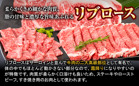 焼肉 熊野牛 リブロース 焼肉用 500g