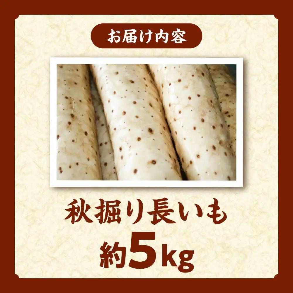 【2026年11月下旬以降順次発送】秋掘り 長いも 5kg  |  長いも 秋野菜 野菜 やさい 北海道 産地直送 |  道の駅 真狩フラワーセンター[BPAM026]