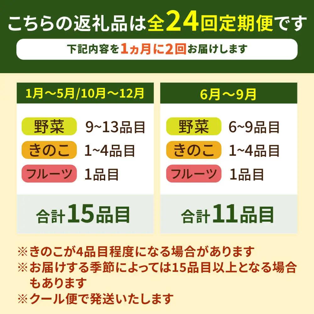 【全24回 月2回お届け】野菜定期便15品目以上 [SCZ003]
