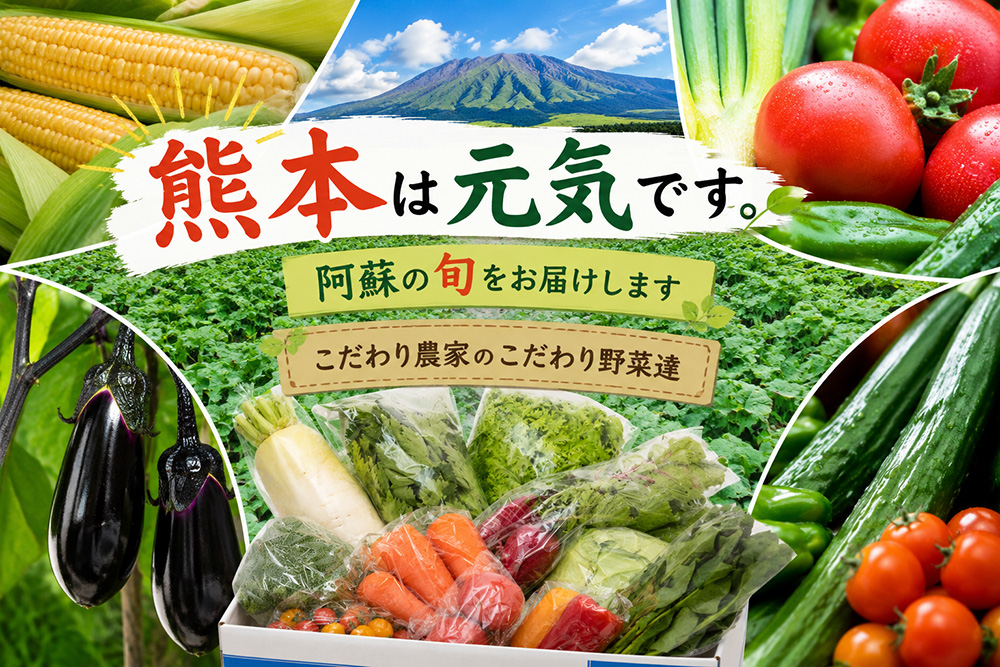 【選べるセット】【阿蘇 郷乃舎】阿蘇高原 農家直送こだわり野菜と阿蘇特産品セット ASOMILK のむヨーグルト 阿部牧場 郷乃舎 新鮮 お野菜 8～10品 産地直送 牧場直送 詰め合わせ お取り寄せ