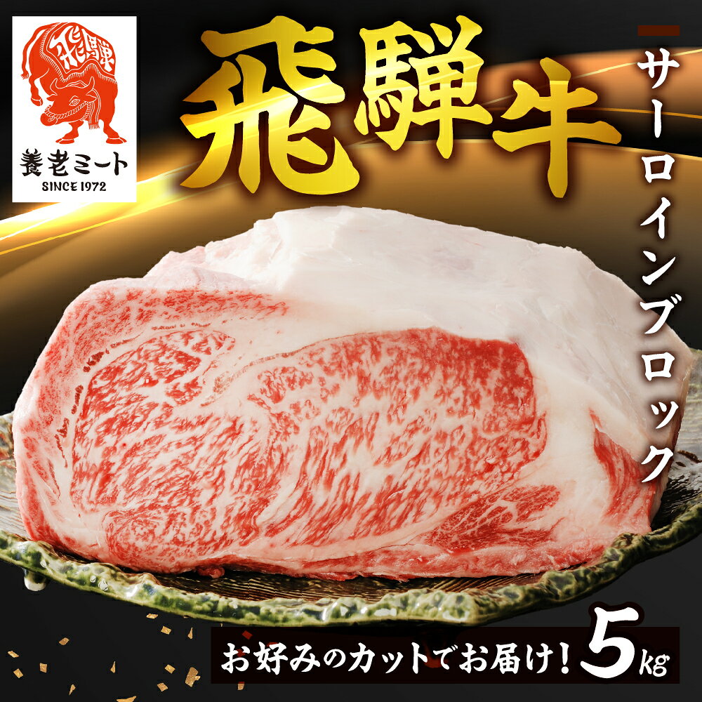 【ふるさと納税】飛騨牛ブロック肉 5kg サーロイン 高級 ステーキ ブロック ステーキ肉 1枚 2枚 3枚 サーロインステーキ ブロック 飛騨牛 塊 美味しい 贈答 ギフト プレゼント お歳暮 年末 正月 すき焼き ブランド 和牛 国産 国産牛 牛肉 肉 牛 ブランド牛 岐阜県 郡上市