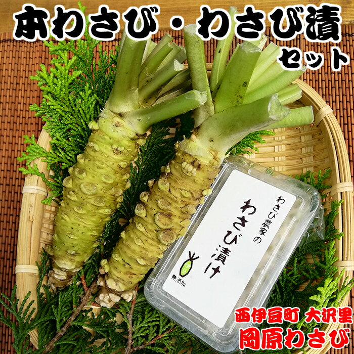 【ふるさと納税】 訳あり わさび 本わさび 山葵 わさび漬 刺身 そば わさび丼 薬味 伊豆 西伊豆 【世界農業遺産認定】訳あり 西伊豆町の本わさび・わさびづけセット 【12月・1月除く】