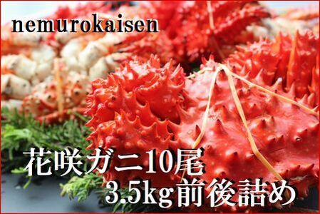 ＜12月22日決済分まで年内配送＞【北海道根室産】花咲ガニ10尾(計3.5kg前後) C-57052