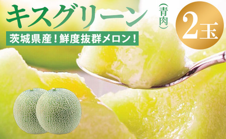 来年2026年先行予約！メロン めろん 最高糖度21度！奇跡の キスグリーンメロン 2玉 青肉 人気 おすすめ キスグリーン 甘い 濃厚 高糖度 自家栽培 メロン 贈答用 贈り物 プレゼント 送料無料 片岡農園 クレストファーム 茨城県 鉾田市