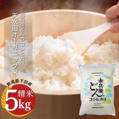 ふるさと納税 三条市 先行受付 天水田で育った コシヒカリ 5kg 新潟県産  [由兵衛どん] 【012S080】