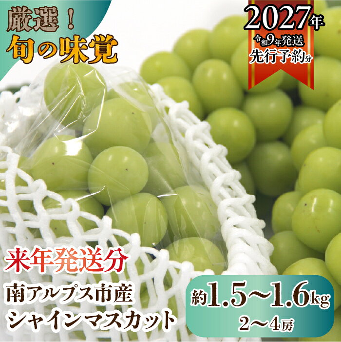 【ふるさと納税】 ＜2027年発送先行予約＞厳選！南アルプス市産　シャインマスカット　約1.5kg〜1.6kg（2〜4房） ふるさと納税 シャインマスカット 葡萄 ぶどう 果物 フルーツ おすすめ 山梨県 南アルプス市 送料無料 ALPDD010