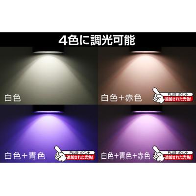 ふるさと納税 東村山市 植物のためのそだつライトPLUS　ブラック |  | 01