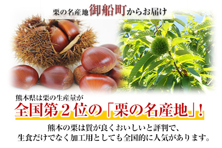 生栗 熊本県御船町産限定 約2kg(2L-Lサイズ)  《9月上旬-9月末頃より出荷予定》期間限定 野菜 予約 スイーツ きんとん 甘露煮 渋皮煮 栗ご飯 熊本県御船町 栗---mf_cnmgr_ac9_23_12000_2kg---