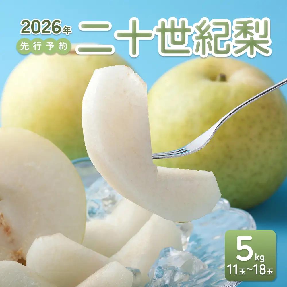 【2026年 先行予約】二十世紀梨 5kg｜鳥取 東光園 梨 2026年収穫後 2026年8月下旬から順次発送【41053】