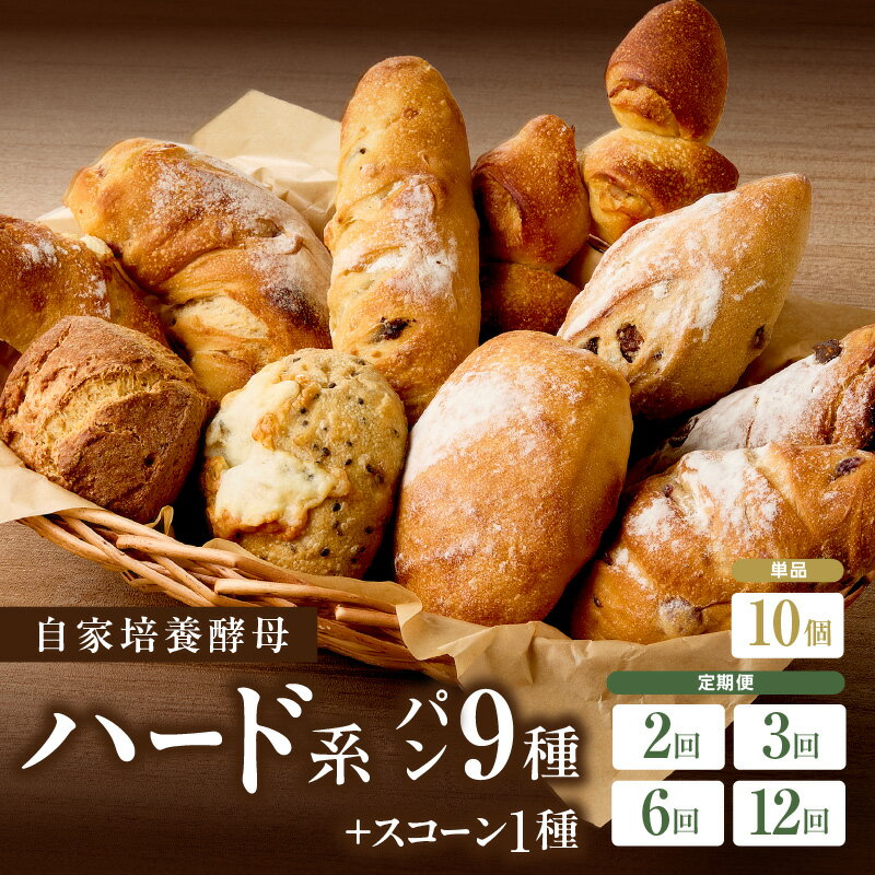 【ふるさと納税】 詰め合わせパン スコーン パン定期便 自家培養酵母 フランス生地 ハードパン ブーランジェリーファヴール パンセット 京都府 木津川市