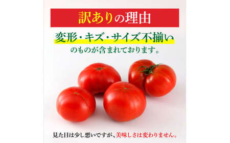 先行予約 訳ありフルーツトマト 3kg フルーツトマト BQAG054