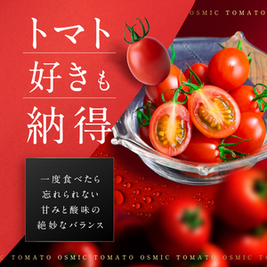 トマト OSMIC Premium 1kg フルーツ トマト