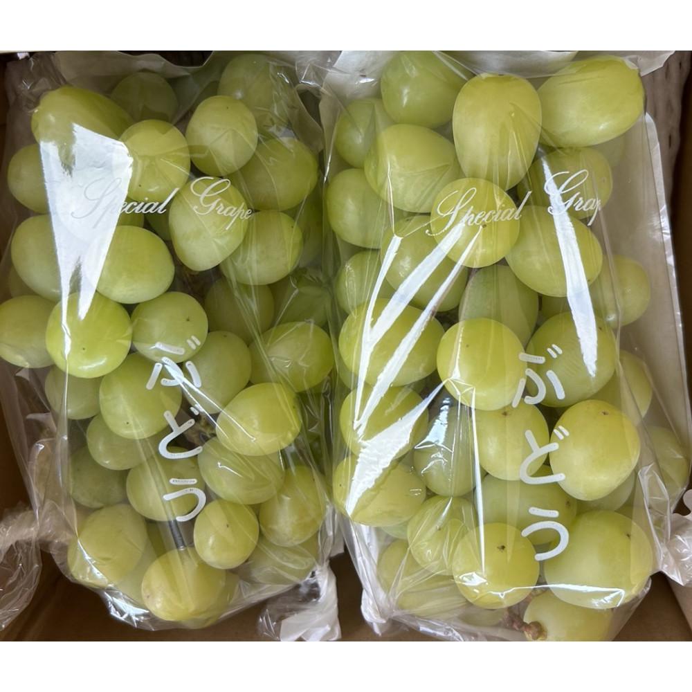 【ふるさと納税】完熟シャインマスカット（通常品） 2kg | フルーツ 果物 くだもの 食品 人気 おすすめ 送料無料