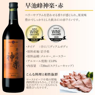 ふるさと納税 花巻市 お肉に合うおすすめワイン2本セット　五月長根リースリング・リオン(白)早池峰神楽ワイン(赤) |  | 02