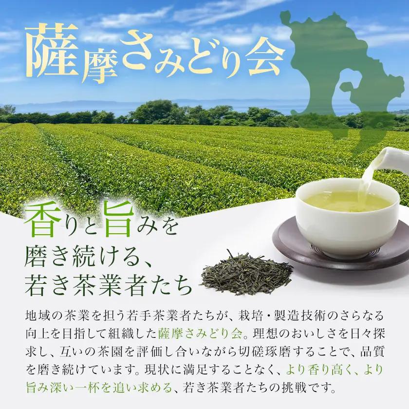 薩摩さみどり 煎茶 計240g 80g×3袋 薩摩さみどり会《5月末-11月末頃出荷》
