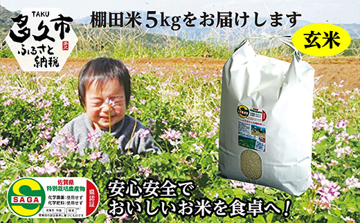 【令和7年産】しょうちゃんの棚田米 夢しずく 玄米 5kg 佐賀県産 米 栽培期間中農薬・化学肥料不使用 _b-94r7
