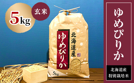 【先行予約】特別栽培米 【令和7年産】北海道産ゆめぴりか 5kg　玄米