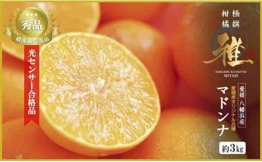 極撰柑橘 ＜雅＞光センサー 合格品・プルプル食感「 マドンナ 」 約3キロ＜E39-70＞【1620366】 YWTF045