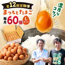 【ふるさと納税】【 Lサイズ 60個 ×12回 定期便 】 まつもとたまご 60個 ＜松本養鶏場＞[CCD008] 長崎 西海 卵 生卵 新鮮 卵かけごはん 安全 安心 美味しい こだわり 少数飼い 定期 Lサイズ 赤玉 贈答 贈り物 ギフト