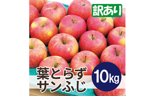 ＜25年12月より順次発送＞平均糖度13度以上! 葉とらずサンふじ 約10kg 訳あり【1611287】