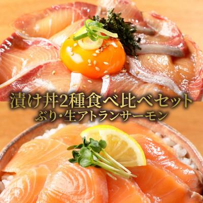 ふるさと納税 延岡市 延岡産活〆ブリと生サーモンの海鮮丼/2種食べ比べセット(8パック入り)