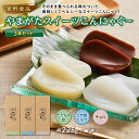 【ふるさと納税】菅野食品 やまがたスイーツこんにゃぐ～3本セット F20B-338