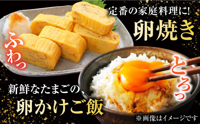 【お得な箱入り】五島の恵みたまご M〜Lサイズ 50個入 / 卵 赤玉子 五島市 / 五島列島大石養鶏場 [PFQ038]