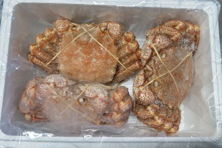 【北海道根室産】毛がに3尾(計2kg前後) E-57007