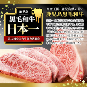 ＜14営業日以内に発送！＞＜3枚・計約750g＋ハンバーグ3個＞4等級以上！鹿児島県産黒毛和牛ロースステーキ3枚セット 黒毛和牛 ステーキ 冷凍【ナンチク】A781-v01