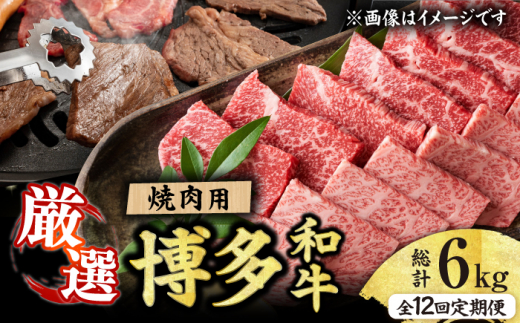 【12回定期便】博多和牛 焼肉用 500g 肉 国産和牛 BBQ カルビ ロース モモ 広川町 / 株式会社MEAT PLUS [AFBO072]