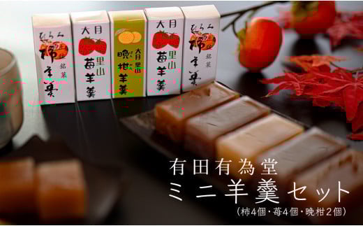 【大月の銘菓】ミニ羊羹セット(5本入×2)