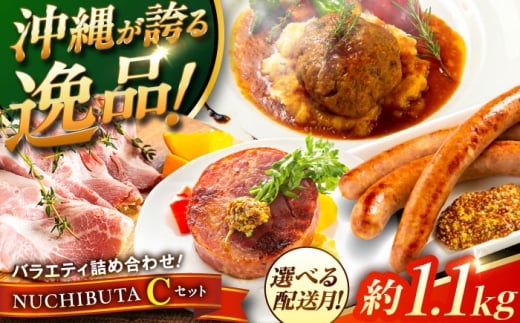 【2026年4月発送】 『NUCHIBUTA Cセット』 豚肉 ポークステーキ ハンバーグ ソーセージ ベーコン ハム 詰め合わせ お取り寄せ 国産 ギフト 冷凍 沖縄市 / DELICATESSEN NUCHIBUTA[BCAR005-4]