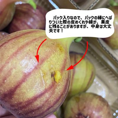 ふるさと納税 紀の川市 いちじく 2パック(約600g) 和歌山県 紀の川市産 |  | 02