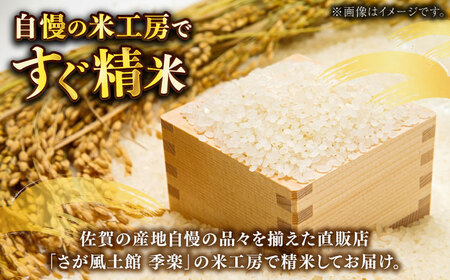 佐賀県産さがびより 4.5kg 化粧箱入 / お米 精米 ブランド米 ふるさと納税米 /  佐賀県/さが風土館季楽[41AABE042]