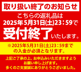 【5月31日受付終了】＜ランウォーク＞ゴアテックスメンズビジネスシューズ WR611L(ブラック×24.5cm)  ふるさと納税 境港市 特産品 境港市 紳士靴 ビジネスシューズ 靴 くつ メンズ 歩