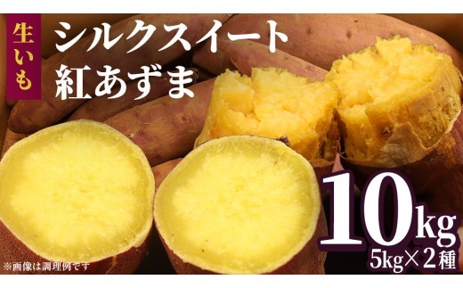 
            さつまいも 【 シルクスイート ・ 紅あずま 】 5kg ( 箱込 )の 2箱セット さつまいも 詰合せ 国産 農園 野菜 サツマイモ 芋 期間限定 デザート スイーツ おやつ 料理 味噌汁 煮物 生芋
          