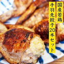 【ふるさと納税】餃子専門店が作った手羽先餃子20本入り