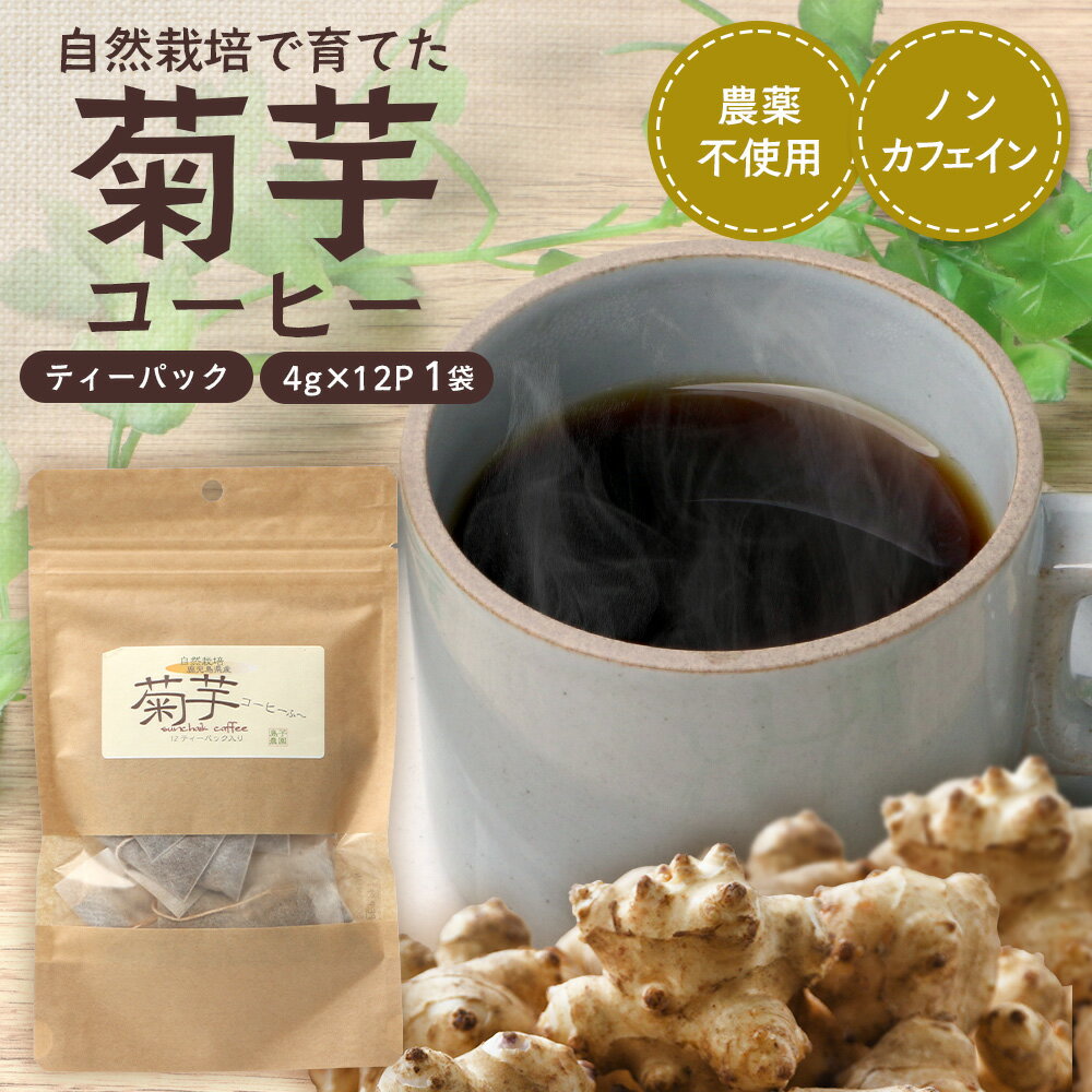 【ふるさと納税】菊芋 コーヒー ティーパック 1袋 ( 4g × 12P )